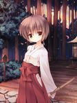  amatsume_akira broom brown_eyes brown_hair forest hakama japanese_clothes miko nature red_hakama scenery solo sunset tree yosuga_no_sora yuku_(kiollion) 