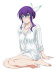  aquarion_(series) aquarion_evol bottomless dress_shirt green_eyes mikono_suzushiro purple_hair shirt sitting sleeves_rolled_up solo touryou yokozuwari 