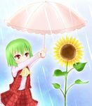  arms_up ascot blue_background blush_stickers chibi covering dress_shirt flower green_hair kazami_yuuka leaf long_sleeves looking_away outstretched_arms parasol plaid plaid_skirt plaid_vest rain red_eyes shirt short_hair simple_background skirt solo standing sunflower touhou umbrella umi_suzume vest 