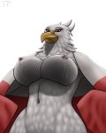  anthro areola avian beak big_breasts bird breasts clothed clothing eagle female flag lactating looking_at_viewer low-angle_view milk nipples partially_clothed pink_areola poland smile solo standing testowepiwko wearing_flag 