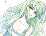  breasts c.c. cleavage code_geass creayus green_hair long_hair small_breasts solo wet yellow_eyes 