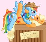  blush cowboy_hat crate cutie_mark duo equine female feral friendship_is_magic hat horse lesbian mammal my_little_pony pegasus pony pussy_juice rainbow_dash_(mlp) ratofdrawn sex wing_boner wings 