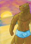 beach bulge canine green_eyes male seaside sunset valon 