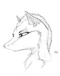  bust canine chest_tuft ear_tuft fox fur hair head line_art mammal mohawk oonami piercing punk sketch solo tattoo tuft 