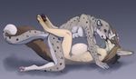  canine couple feline female fennec fox hindpaw iluq interspecies leopard male nude paws pregnant romantic sex snow_leopard straight 