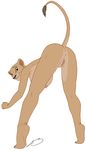  anthrofied anus blue_eyes breasts butt clitoris disney feline female lion lioness mammal mooning nala nipples presenting presenting_hindquarters pussy raised_tail sarafina spread_legs spreading steven_stagg the_lion_king 