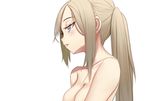  bad_id bad_pixiv_id blue_eyes breasts brown_hair highres long_hair medium_breasts nude original out-of-frame_censoring profile solo upper_body white_background yilan 