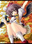  arm_up black_wings blurry branch camera depth_of_field hat highres letterboxed looking_at_viewer north_abyssor open_mouth shameimaru_aya short_hair sitting smile socks solo thighs touhou white_legwear wings 