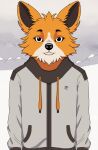 absurd_res anthro anuvisur_(artist) canid canine canis clothed clothing detailed_background digital_media_(artwork) domestic_dog fluffy fur hair hi_res jacket looking_at_viewer male mammal multicolored_body multicolored_fur orange_body orange_fur outside simple_background smile snow solo topwear two_tone_body two_tone_fur white_body white_fur