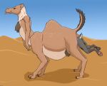 2024 4_breasts anthro anthro_prey anus belly big_belly biped breasts brown_body brown_eyes brown_fur camel camel_taur camelid camelid_taur duo fatty_humps female female_pred female_prey feral feral_pred fur genitals grey_body grey_fur head_first hi_res larger_female larger_pred larger_taur mammal mammal_taur multi_breast nipples partially_inside pawpads pussy quadruped short_tail size_difference smaller_anthro smaller_female smaller_prey snout strega tail taur tongue tongue_out unbirthing vaginal vore