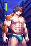 :3 abs ai_generated anthro biped bulge city cityscape clothed clothing epic_games fortnite fur looking_at_viewer male meowscles muscular muscular_anthro muscular_male night outside portrait simple_eyes solo three-quarter_portrait underwear underwear_only white_body white_fur
