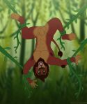 animal_genitalia anthro balls digital_media_(artwork) disney domestic_cat down felid feline felis furry genitals hi_res invalid_tag kovu_(disambiguation) lion male mammal nude pantherine plant sheath tail the_lion_king upside vines