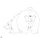 2025 animal_genitalia animal_penis anus aroused ass_up backsack balls bear bear_ears big_anus big_balls big_penis brown_bear butt butt_grab digital_drawing_(artwork) digital_media_(artwork) disembodied_hand erection eyebrows feral fur furry_tail genitals grizzly_bear hand_on_anus hand_on_butt head_down_ass_up hi_res holding_butt huge_anus kuruk_(character) looking_at_viewer looking_back looking_back_at_viewer male male_feral mammal neemyart nude paws penis perineum plantigrade presenting presenting_hindquarters puffy_anus quadruped raised_tail rear_view short_tail simple_background sketch small_tail solo spread_anus spread_butt spreading tail three-quarter_view tight_balls ursidae ursine ursine_ears