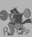 accident accidental_exposure animal_genitalia animal_pussy anthro barbell_squats canid canine canine_genitalia canine_pussy canis clothing domestic_dog exercise genitals german_shepherd herding_dog hi_res lddraws ludwig_(lddraws) male mammal monochrome pastoral_dog pussy scar scars_all_over torn_clothing trans_(lore) trans_man_(lore) wardrobe_malfunction weightlifting workout