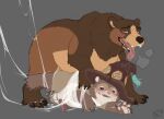 2025 5_fingers anal anal_penetration animal_genitalia animal_penis anthro anthro_on_bottom anthro_on_feral anthro_penetrated arm_markings aroused arthropod_webbing balls barefoot bdsm bear bear_ears belly benji_(artist) bestiality big_dom_small_sub biped blush bodily_fluids bondage bound brown_arms brown_bear brown_body brown_ears brown_fur brown_hands brown_legs capcom cheek_markings claws clothing cum cum_inside digital_drawing_(artwork) digital_media_(artwork) dominant dripping drooling duo erection facial_markings feet feral feral_on_top feral_penetrating feral_penetrating_anthro finger_claws fingers fur genital_fluids genitals gloves_(marking) grizzly_bear hair hat hat_only head_markings headgear headgear_only headwear headwear_only hi_res interspecies kuruk_(character) larger_feral larger_male leg_markings lynian male male/male male_anthro male_feral male_on_bottom male_penetrated male_penetrating male_penetrating_male mammal mane mane_hair markings monotone_background monster_hunter mostly_nude multicolored_body multicolored_fur nude on_bottom on_top open_mouth pawpads paws penetration penile penile_penetration penis plantigrade quadruped rove_(monster_hunter) saliva saliva_drip saliva_on_chin saliva_on_clothes saliva_on_clothing saliva_on_face saliva_on_own_chin saliva_on_tongue saliva_string sex sheath simple_background size_difference sketch smaller_anthro smaller_male smile socks_(marking) spider_web tan_balls tan_belly tan_body tan_fur teeth third-party_edit three-quarter_view tongue tongue_out tusks ursidae ursine ursine_ears ursine_genitalia ursine_penis web_bondage wizard_hat wudwud