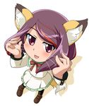  :3 animal_ears anyamal_tantei_kirumin_zoo bioroid_hei blush bow fox_ears fox_tail miyabe_kasumi multicolored_hair pink_eyes purple_hair school_uniform short_hair socks solo tail whiskers 