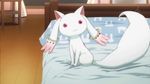  animated animated_gif bed bedroom indoors kyubey mahou_shoujo_madoka_magica no_humans red_eyes screencap sitting solo tail tail_wagging 
