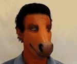  equine horse low_res mammal mask nightmare_fuel real realistic solo what what_has_science_done 