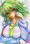  ascot breasts colored_pencil_(medium) green_hair highres kazami_yuuka kitazinger large_breasts red_eyes short_hair solo touhou traditional_media upper_body vest 