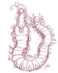  breasts centipede female insect plain_background small_breasts unknown_artist 