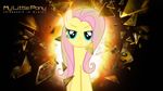  bear blue_eyes blush clothing deus_ex equine female feral fluttershy_(mlp) friendship_is_magic glass hair horse looking_at_viewer mackaged mammal multi-colored_hair my_little_pony pegasus pony rainbow_dash_(mlp) rainbow_hair smile wallpaper widescreen wings 