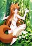  absurdres animal_ears ass barefoot blush breasts brown_hair highres holo komino_masahiko leaf long_hair looking_at_viewer megami nude official_art red_eyes scan sideboob small_breasts smile solo spice_and_wolf tail tree very_long_hair wolf_ears wolf_tail 