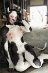  barn bovine breasts cow edit farm lactating manipulation milk milking photo photo_manipulation photomorph real remastered silverfish teats udders 