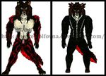  black canine claws description fur hair hat long_hair looking_at_viewer male mammal penis red red_fur stalker suit were werewolf werewolfovna 