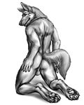  anakuro anus back balls black_and_white butt canine dog german german_shepherd greyscale hindpaw looking_at_viewer looking_back male mammal monochrome muscles nude paws plain_background presenting raised_tail shepherd sketch smile solo white_background 