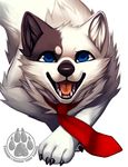  blue_eyes canine dog falvie fur male mammal necktie plain_background solo white_background white_fur 
