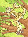  anthro breasts curiodraco cute feline female green_eyes hindpaw leopard looking_at_viewer mammal nude paws pinup pose pussy solo tree wood 