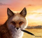  canine feather feral fox jocarra mammal outside photorealism realistic solo watermark 