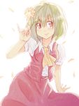  absurdres anarogumaaa ascot bad_id bad_pixiv_id flower green_hair highres holding holding_flower kazami_yuuka petals pinky_out plaid plaid_vest red_eyes short_hair smile solo touhou traditional_media vest 