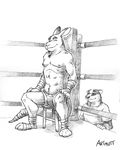  anthro boxing circles_(comic) duo k-9 kangaroo male mammal marsupial martin_miller skunk taye taylor_dooley topless undressing 