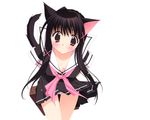  animal_ears black_hair catgirl cleavage kadoi_aya original panties seifuku skirt tail underwear upskirt white 