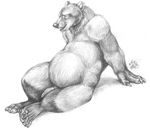  bear belly blotch chubby male nude overweight penis solo 