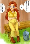  bench blue_eyes blush breasts bucket commentary dress long_hair malon medium_breasts pregnant red_hair sitting solo the_legend_of_zelda the_legend_of_zelda:_ocarina_of_time translated venhala 