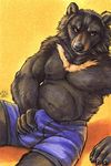  anthro bear black_fur blotch boxers bulge chubby erection fur male mammal muscles navel penis pose solo tenting topless underwear vpl 