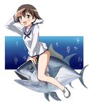  bare_legs blush brown_eyes brown_hair fish hi-ho- looking_away miyafuji_yoshika no_pants no_socks ocean riding sailor_collar_lift school_swimsuit school_uniform serafuku shoes short_hair sitting smile solo straddling strike_witches swimsuit swimsuit_under_clothes tuna underwater uniform world_witches_series 