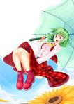  ascot ass bad_id bad_pixiv_id checkered checkered_skirt dress_shirt flower green_hair highres kazami_yuuka moss_(sphere211) panties parasol plaid red_eyes shirt short_hair skirt solo striped striped_panties sunflower touhou umbrella underwear vest 