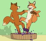 balls canine duo fox fruit grapes leafdog male mammal nude sheath 