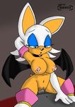  agent_34 rouge_the_bat sonic_team sonic_the_hedgehog tagme 