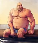  heavy_weapons_guy tagme team_fortress_2 yang 