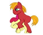  apple_bloom big_macintosh friendship_is_magic my_little_pony tagme 