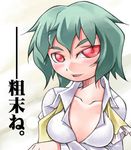  ascot green_hair kazami_yuuka lowres nyagakiya open_clothes open_shirt red_eyes shirt short_hair solo touhou translation_request untied 