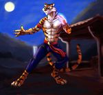  bleakcat tagme tai_fu tai_fu_wrath_of_the_tiger 