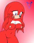  bluespin knuckles_the_echidna rule_63 sonic_team tagme 