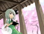  cherry_blossoms hitodama inuinu_(project_october) konpaku_youmu konpaku_youmu_(ghost) lowres oekaki smile solo tea touhou tray 