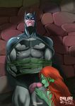  batman dc online_superheroes poison_ivy tagme 