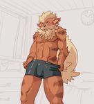  growlithe pokemon tagme 